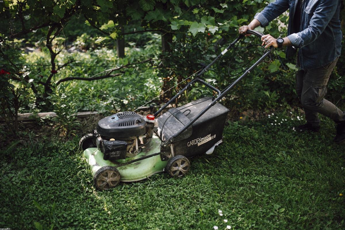 Paysagiste taillant un massif de plantes vivaces dans un jardin